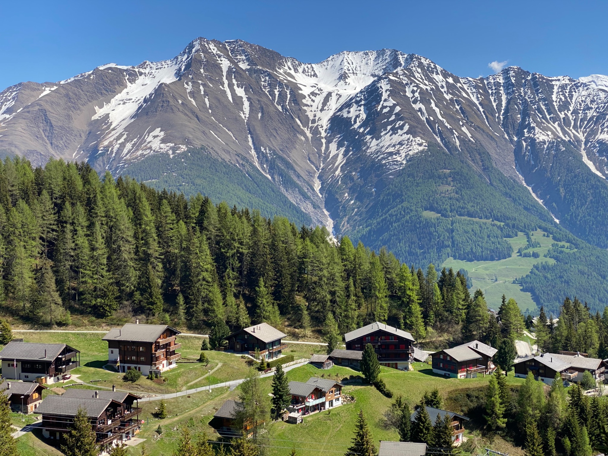 Grüne Alpweiden und Bergpanorama